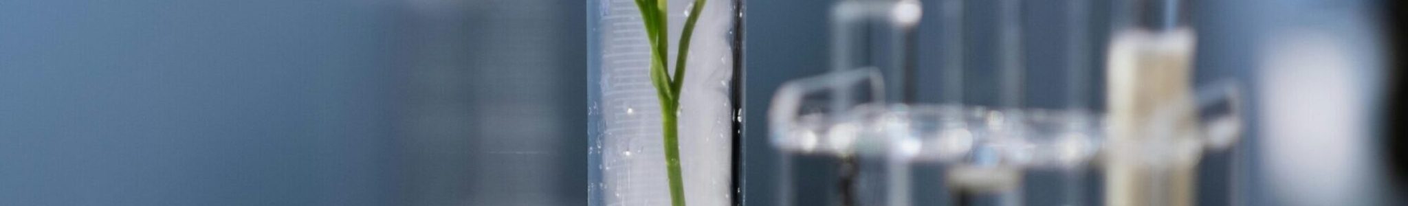 pexels-ron-lach-10187130